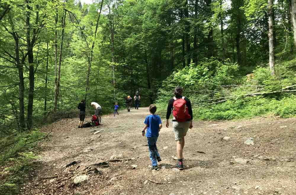 Gleich oberhalb der Wolfsklamm wird der Weg breiter - und dann geht es gleich links hinunter ans Wasser zum Spielen