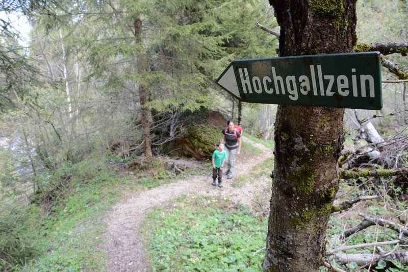 Die Wanderung durch die Gallzeiner Schlucht befindet sich zwischen Hochgallzein und Koglmoos