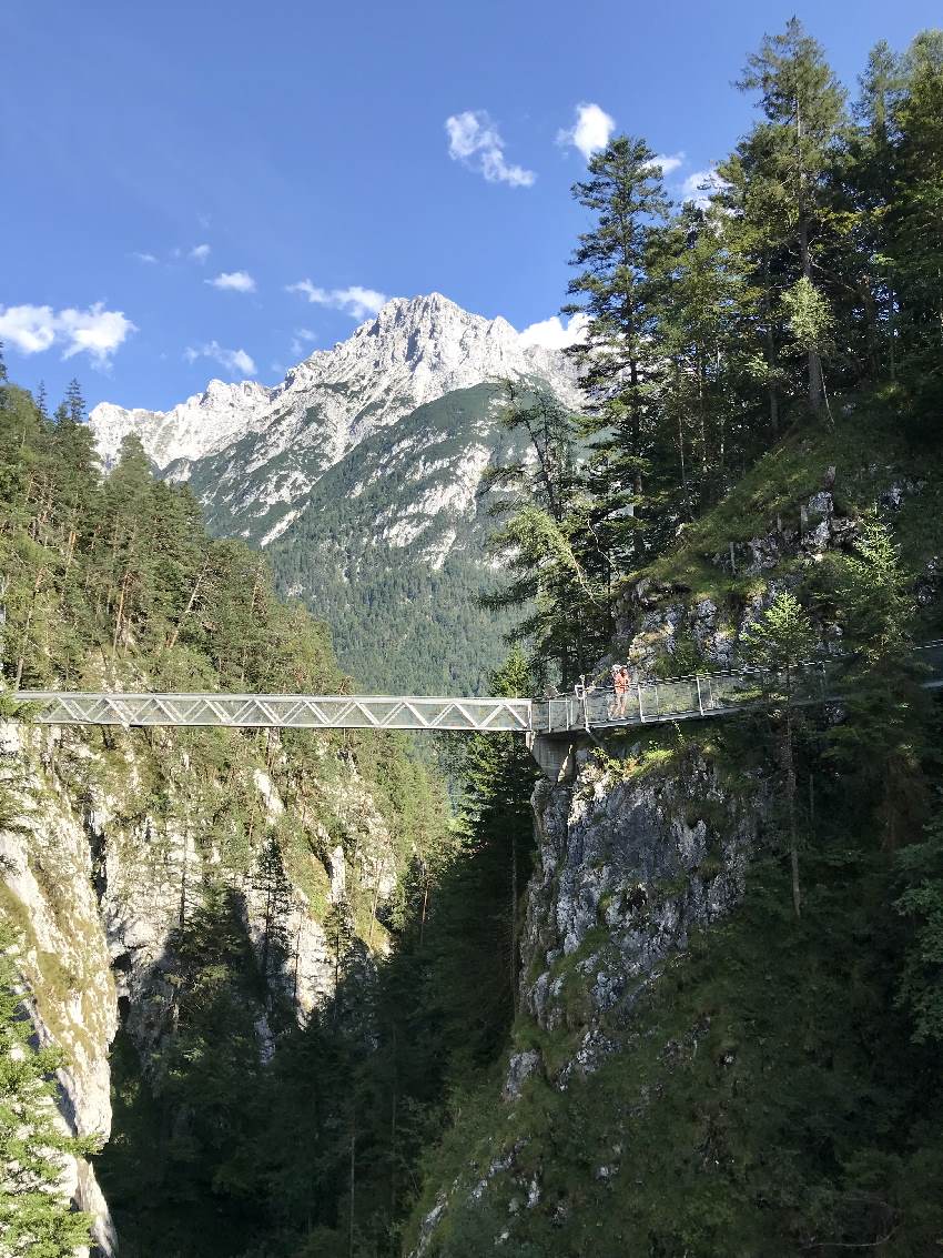 Das ist das Highlight in der Leutaschklamm: Die Brücke über die Schlucht