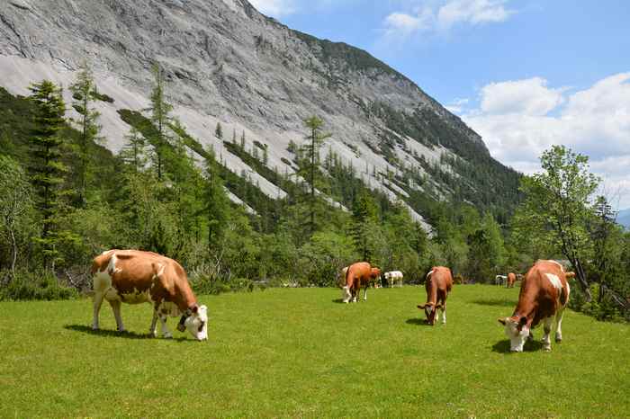 Idylle Hüttenwanderung: Die Karwendeltour