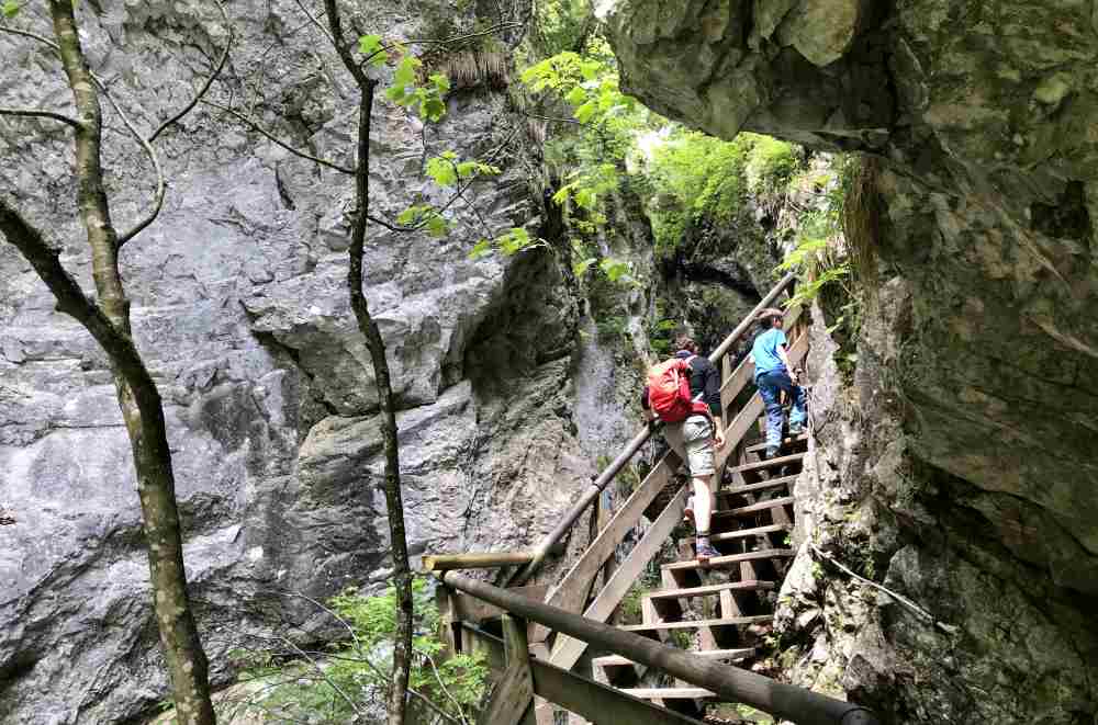 Und dann geht es über diesen Stufen in die Wolfsklamm hinein - das Abenteuer Wolfsklamm in Tirol.