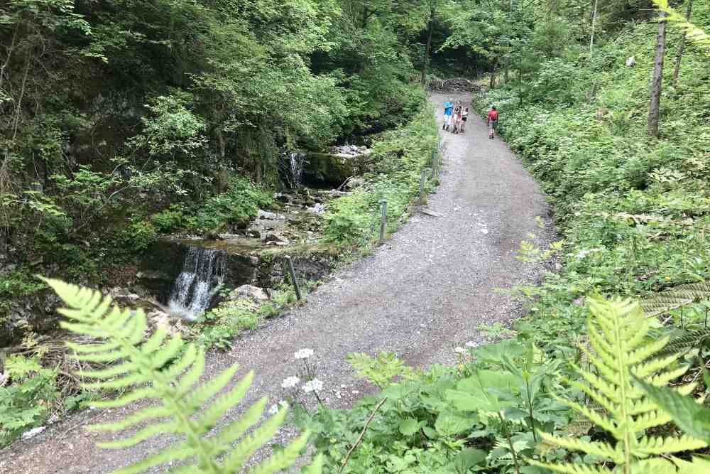 Auf dem breiten Wanderweg wandern wir hinauf in Richtung St. Georgenberg