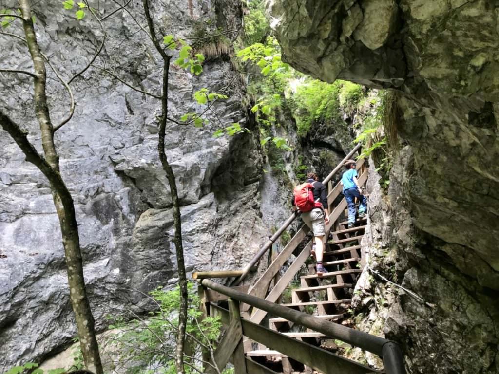 Wolfsklamm met kinderen - indrukwekkende natuur voor kinderen en ouders