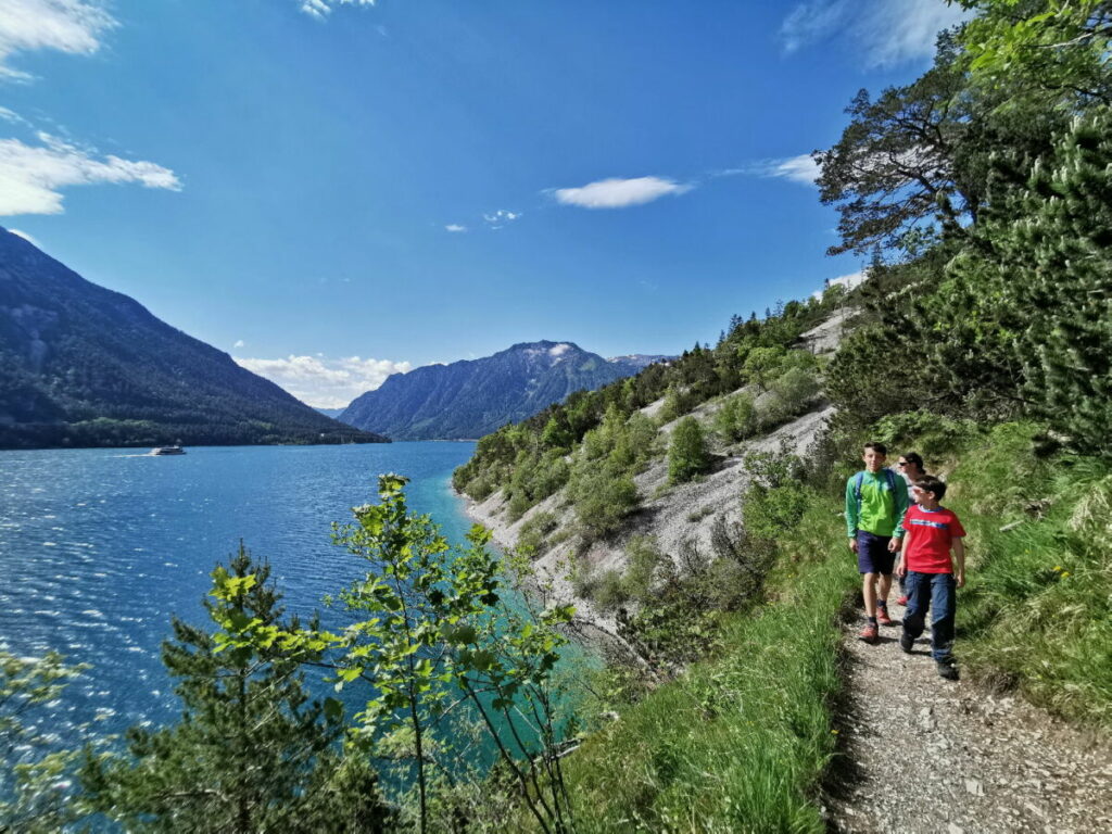 Zur Gaisalm am Achensee wandern