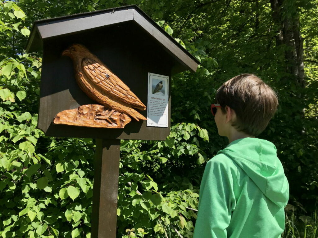 Schleierwasserfall wandern mit Kindern - an einer Stationen am Naturerlebnisweg