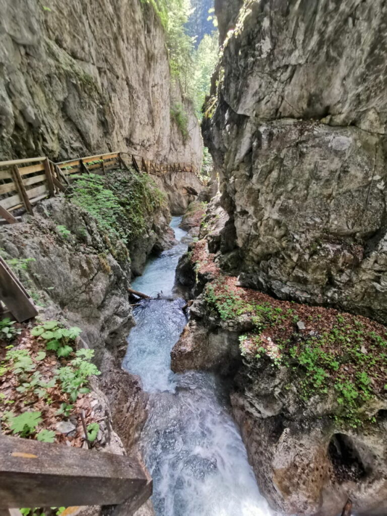 Darf man in der Wolfsklamm mit Hund wandern?