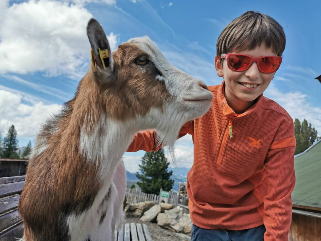 Das sind unsere Erlebnisse und Empfehlungen im Zillertal mit Kindern