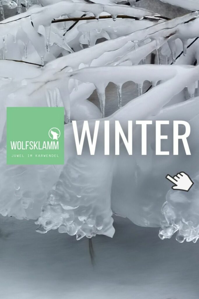 Wolfsklamm Winter