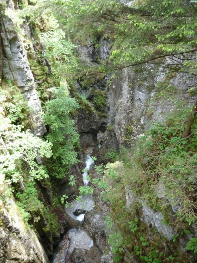  Blick in die wilde Weissenbachklamm 