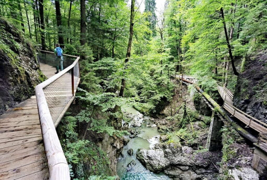 Statt Rosengartenschlucht in die kostenlose Rappenlochschlucht - ein echtes Naturwunder