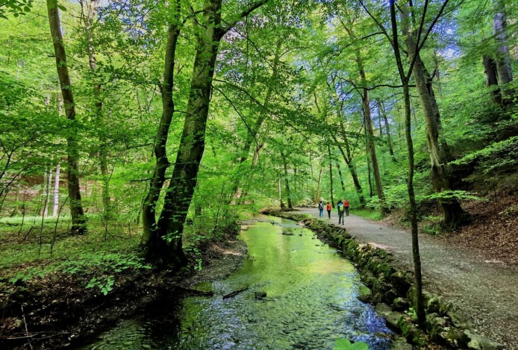 Klamm Deutschland nahe München - die wildromantische Maisinger Schlucht am Starnberger See