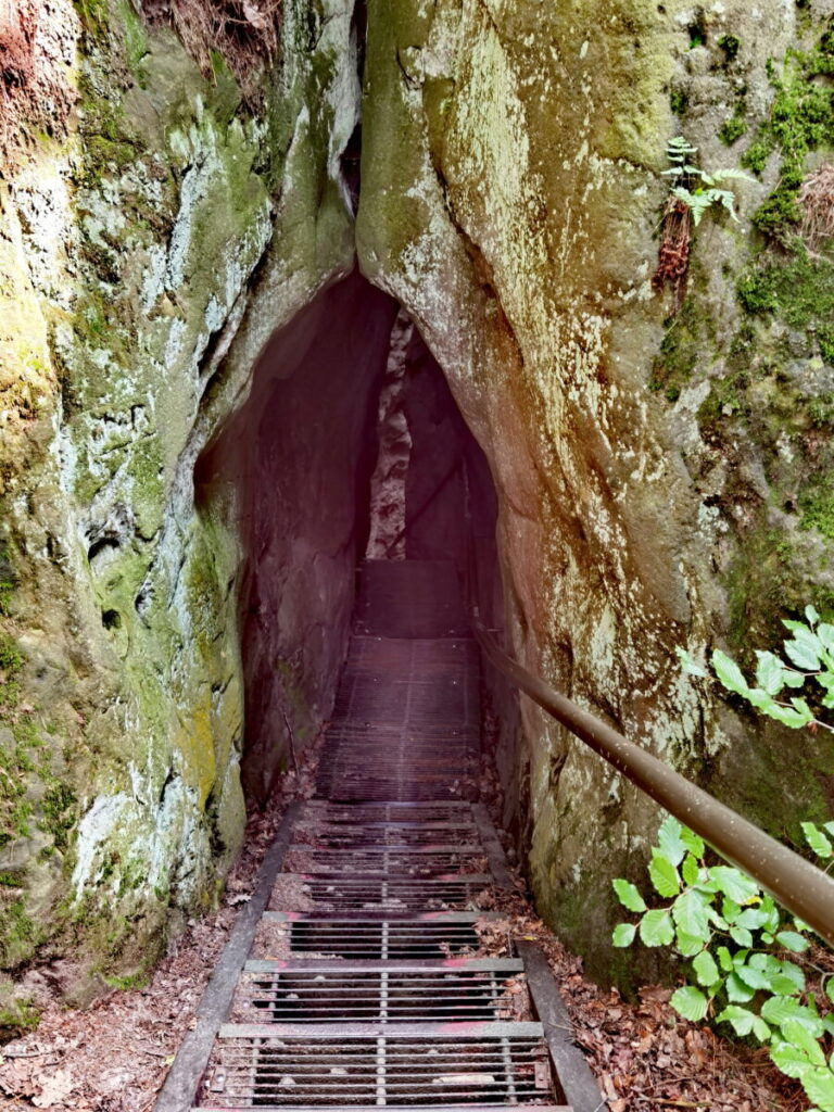 Wolfsschlucht Sächsische Schweiz - der schmale Steig führt sogar durch einen Felsentunnel